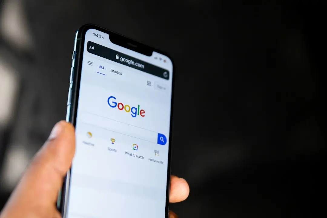 Google a pus la pământ un sfert de milion de copaci în Finlanda